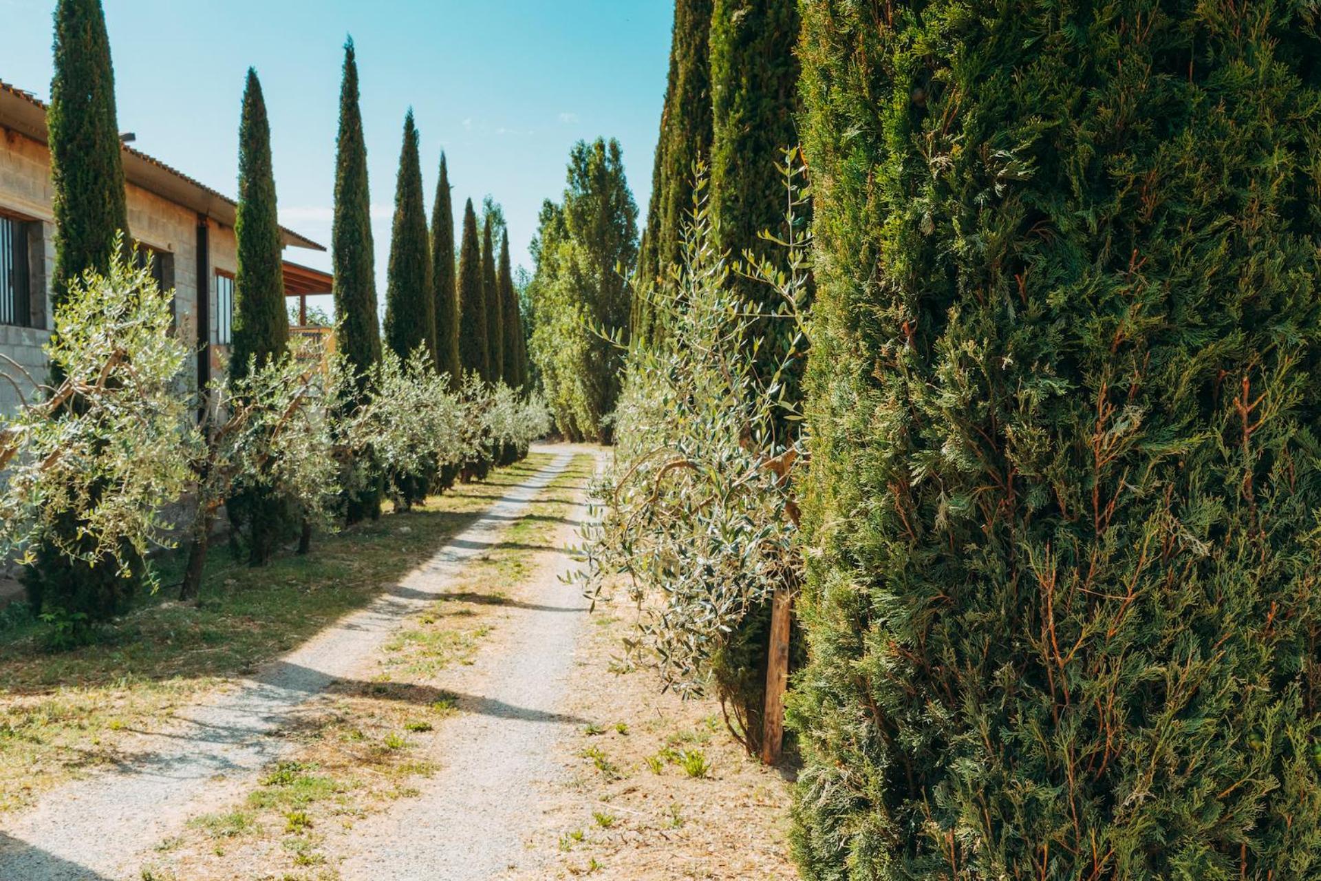 Agriturismo Il Borgo Κορτόνα Εξωτερικό φωτογραφία