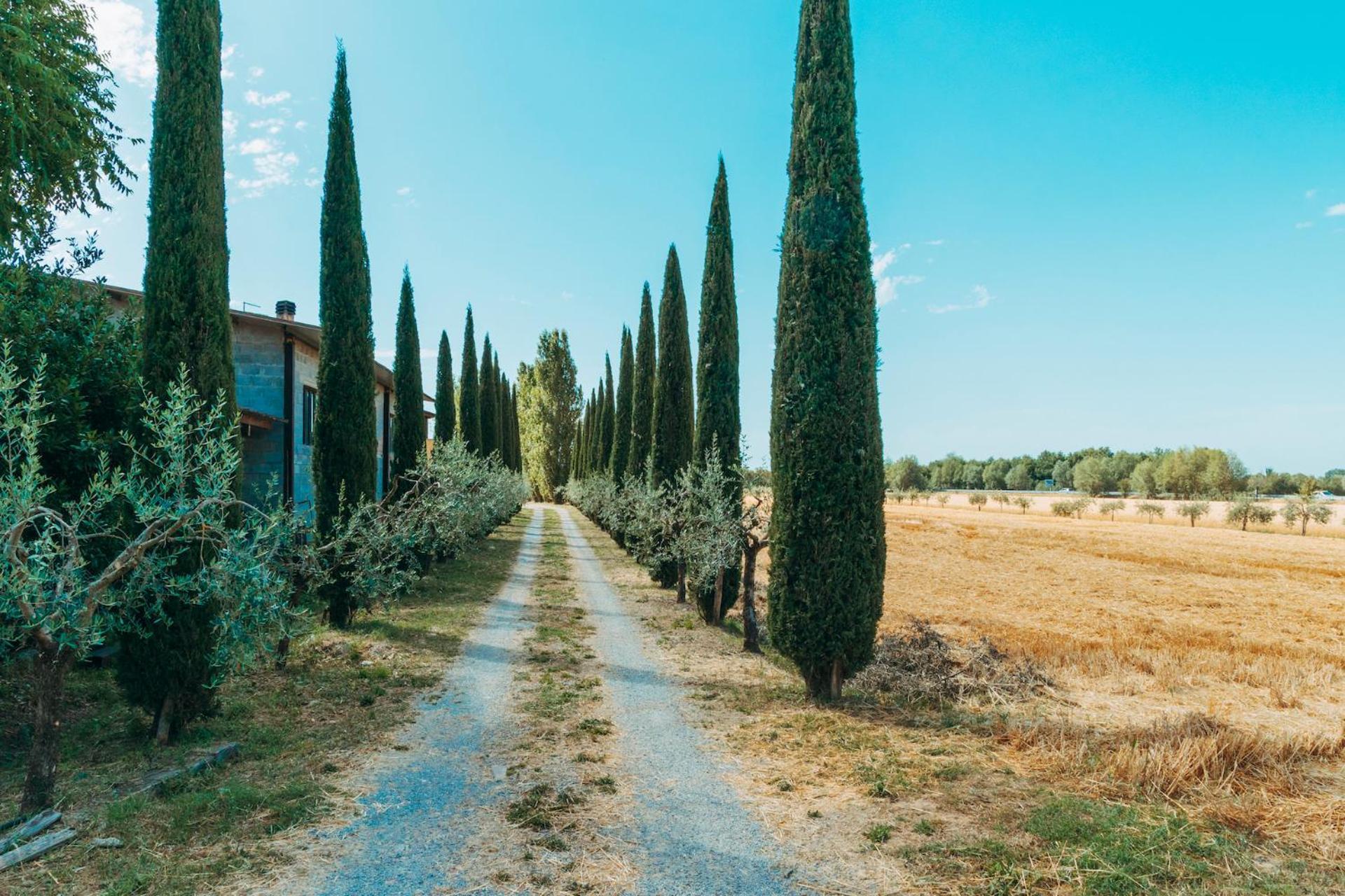 Agriturismo Il Borgo Κορτόνα Εξωτερικό φωτογραφία
