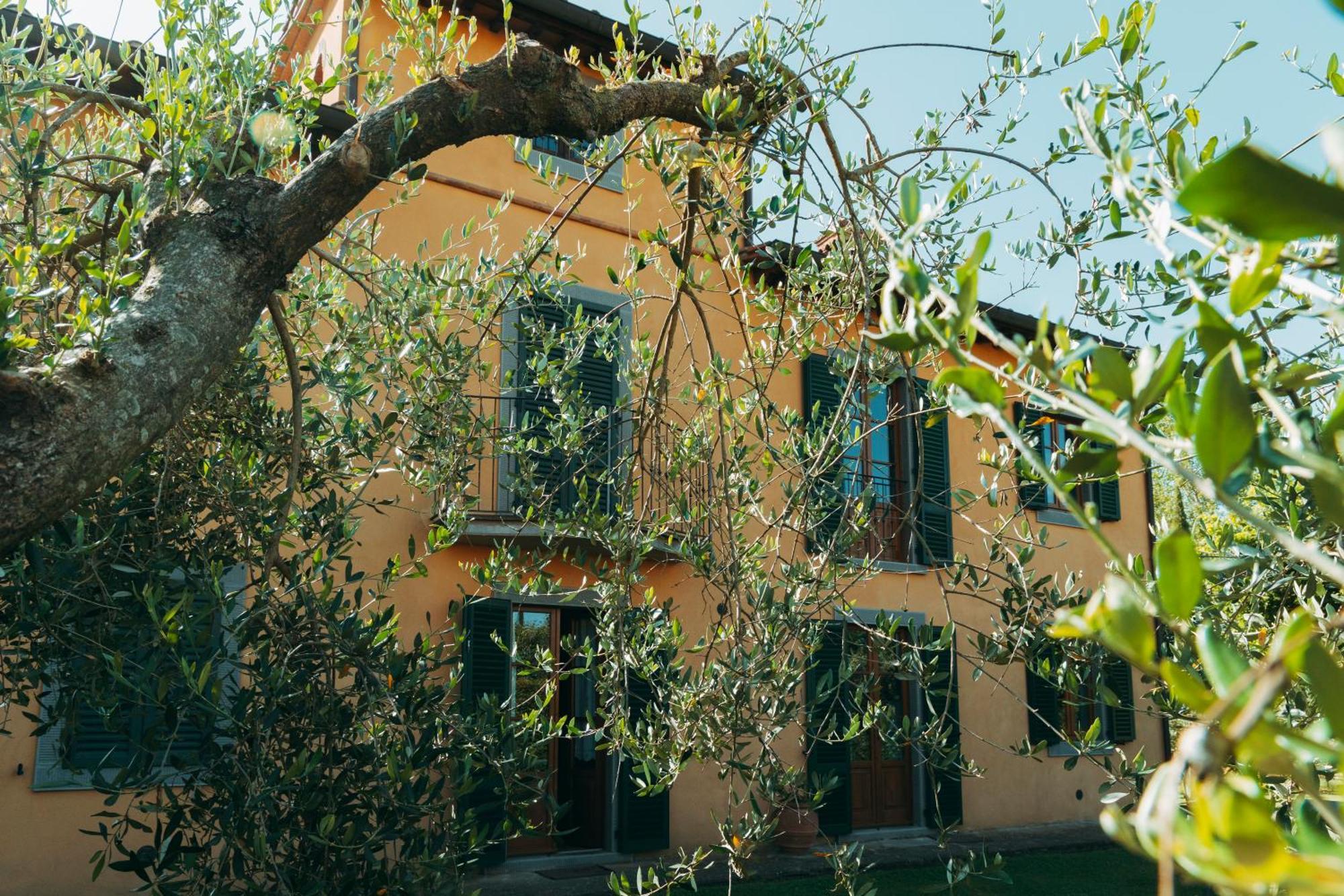 Agriturismo Il Borgo Κορτόνα Εξωτερικό φωτογραφία